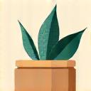 ミニマルな梱包 icon